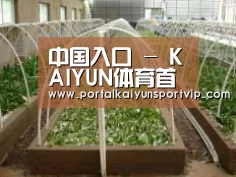 环境展示五