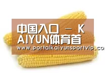 产品名称五