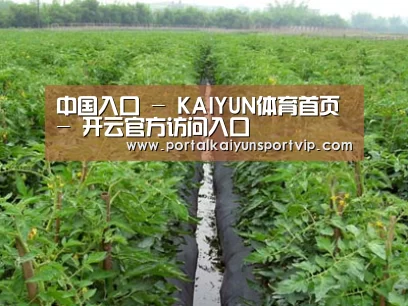 种植基地三
