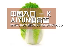 产品名称一