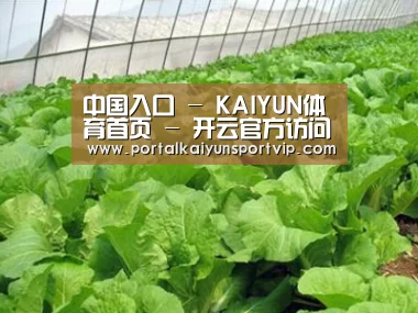 种植基地一