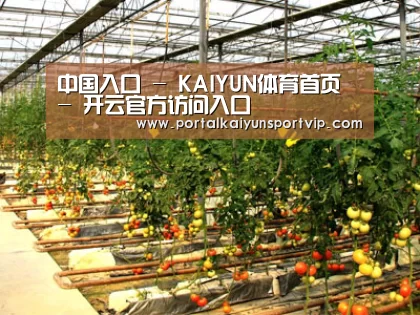 种植基地二