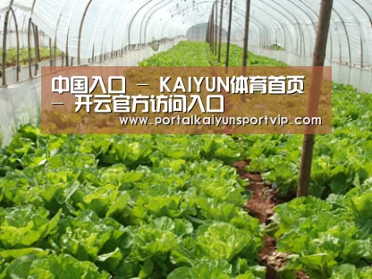 种植基地五