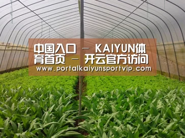 种植基地四