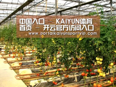 种植基地二(图1)