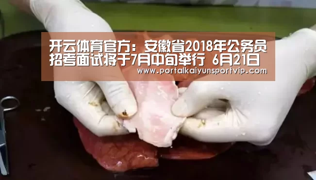 开云体育官方:安徽省2018年公务员招考面试将于7月中旬举行 6月21日前完成资格复审(图3) 开云登录
