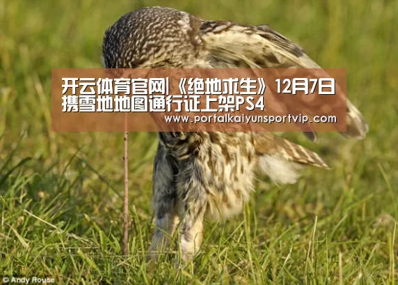 开云体育官网|《绝地求生》12月7日携雪地地图通行证上架PS4(图3) 开云体育官方