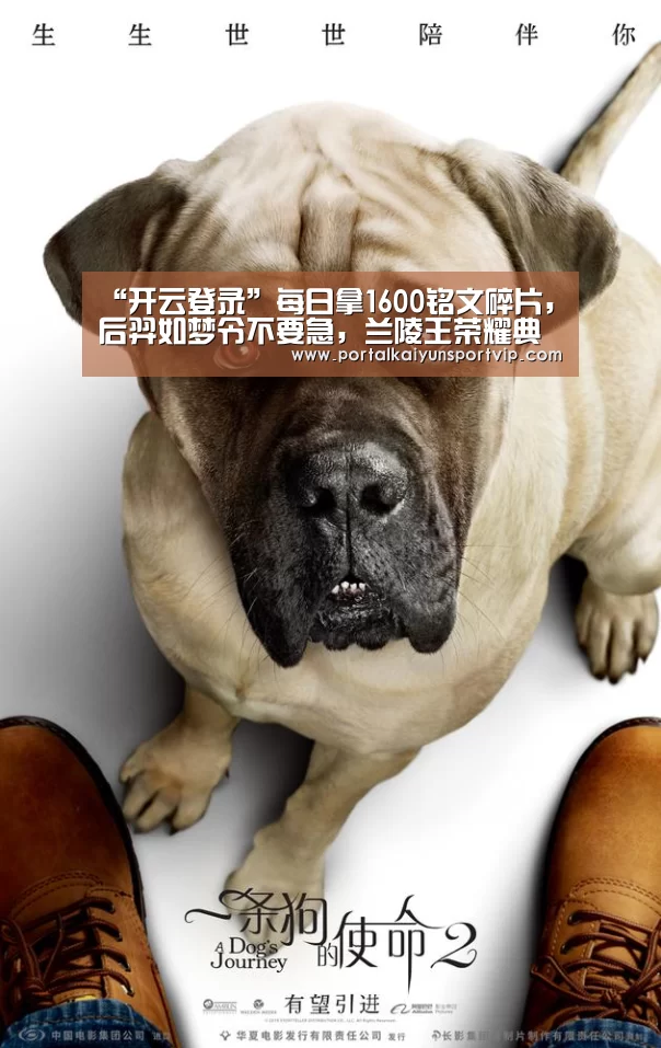 开云登录