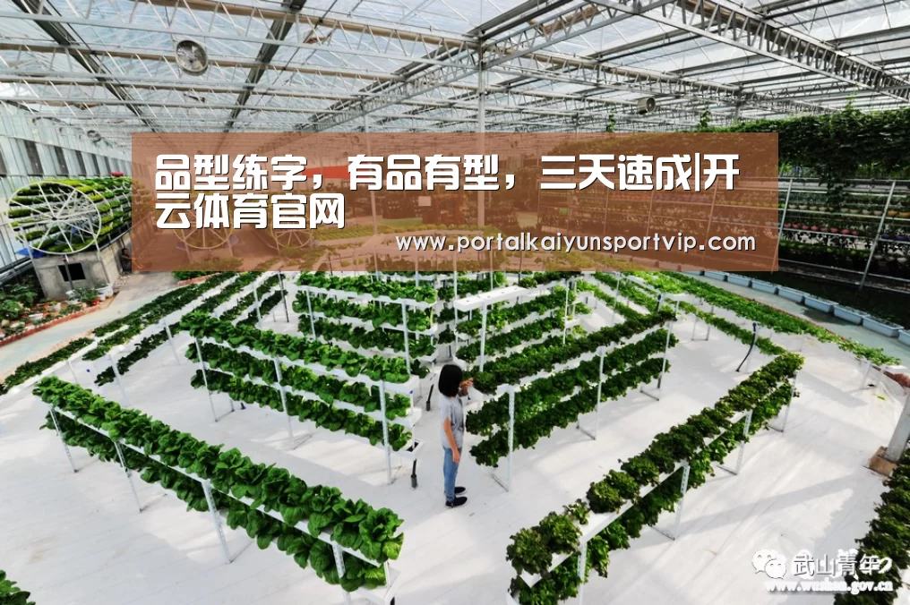 开云体育高清直播