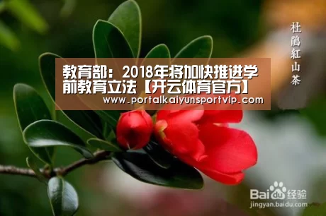 教育部:2018年将加快推进学前教育立法【开云体育官方】(图4) 开云体育官方