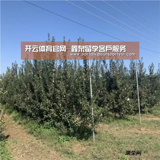 开云体育官网-鑫泉留学客户服务(图3) 开云登录